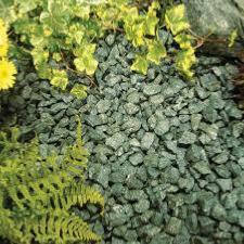 Green Chippings